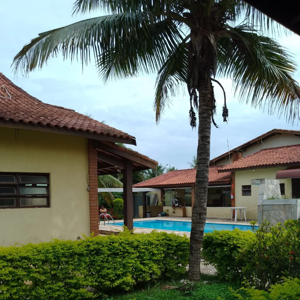 Jardim